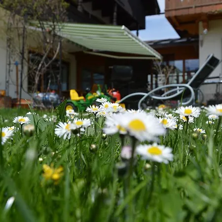 Pension Willibald-3